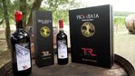 Official TER Wine "Brunello di Montalcino DOCG 2016" biodynamic - 0,75L in prestigious wood box